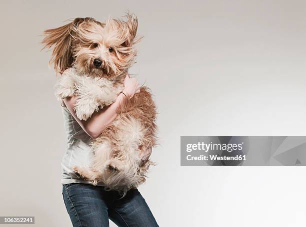 teenage girl (16-17) holding dog and jumping - dog jumping bildbanksfoton och bilder