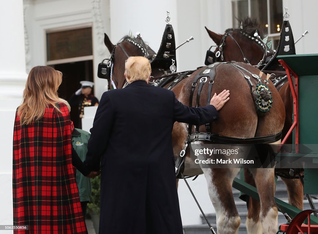 President And Mrs Trump Receive White House Christmas Tree