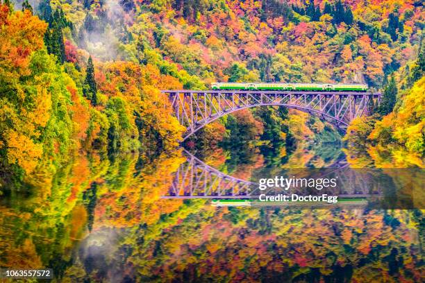 tadami line train run across tadami river in autumn, japan - 福島 ストックフォトと画像