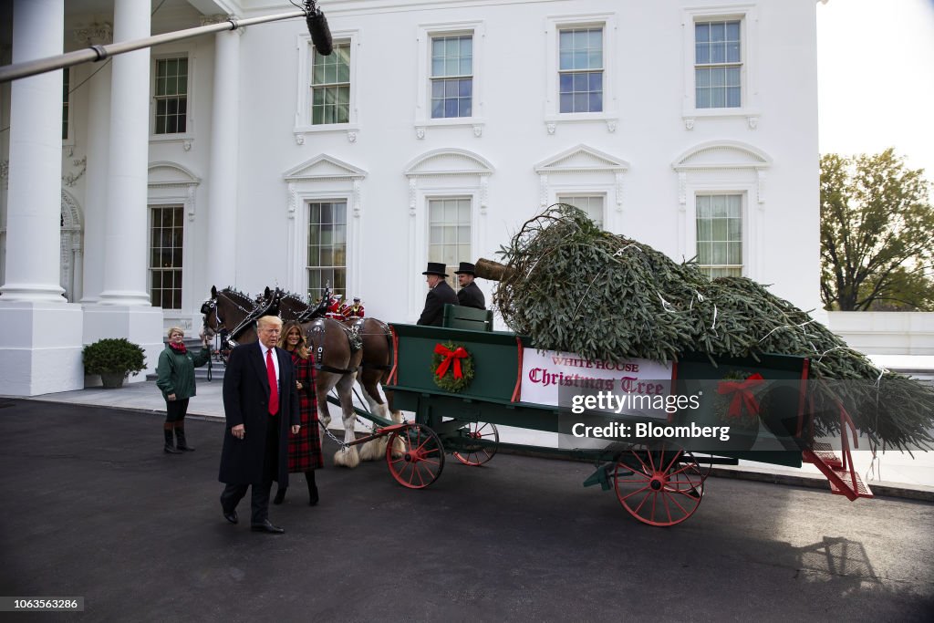 President Trump And First Lady Take Part In White House Christmas Tree Delivery