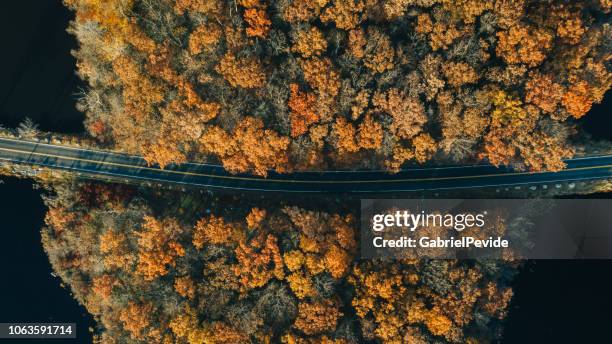 vue aérienne de l’automne laisse à new york - région des appalaches photos et images de collection