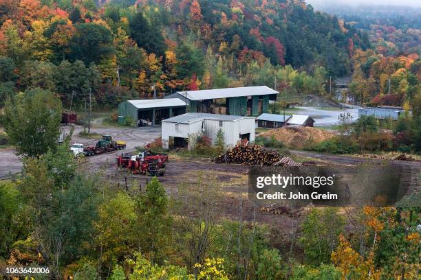 Logging Processing Photos and Premium High Res Pictures - Getty Images