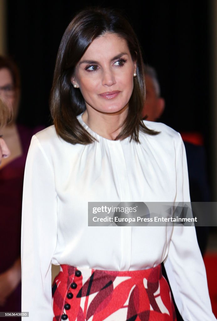 Queen Letizia Attends The Centenary Of The School Of Nursing and Of The Central Hospital of Cruz Roja