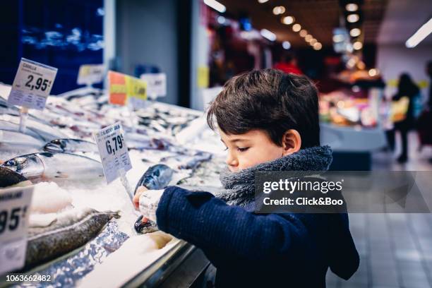 boy touching a fish in the fish market - fish love fotografías e imágenes de stock