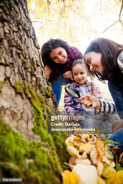 Study Of Trees Photos and Premium High Res Pictures - Getty Images