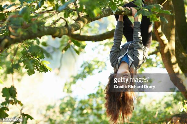 young girl hanging upside down branch - children only stock-fotos und bilder