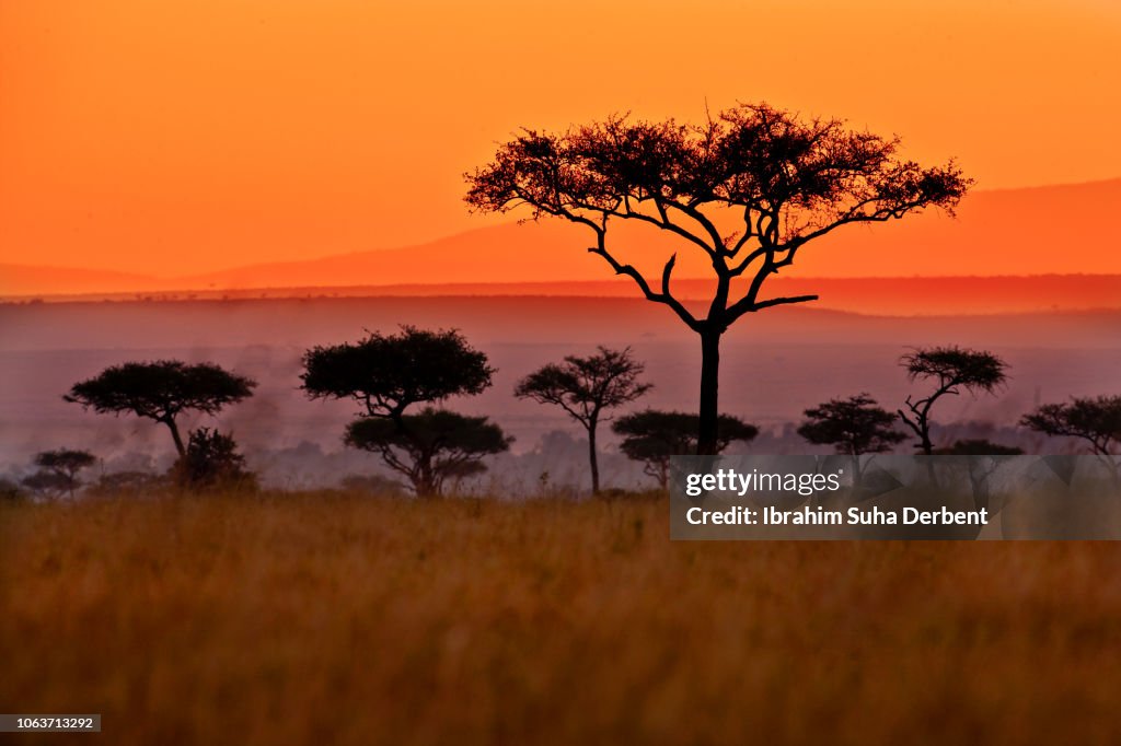 African landscape at sunset