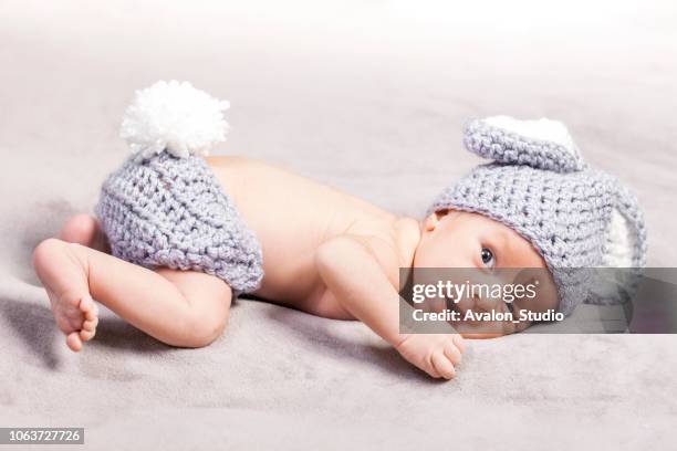 little funny bunny - baby bunny stock pictures, royalty-free photos & images