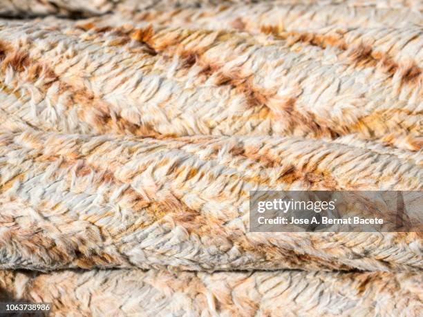 close-up of  heap of thick ropes to tie ships in a maritime port. - beige boot stockfoto's en -beelden