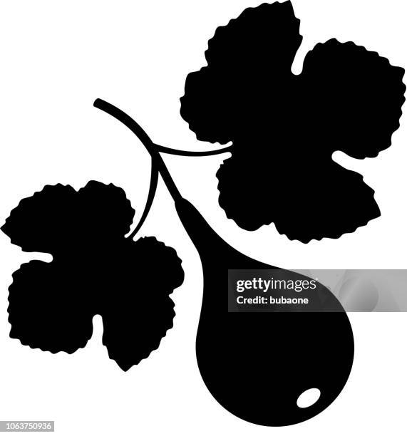 fig fruit icon with long shadow - figs stock illustrations