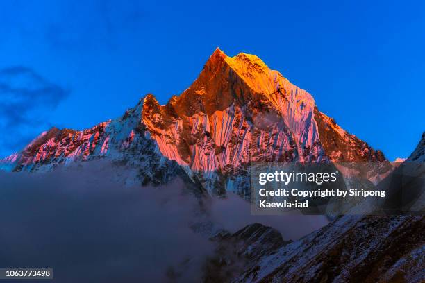 close up of the peak of machhapuchhre (fish tail) at sunset, nepal. - machapuchare stock pictures, royalty-free photos & images