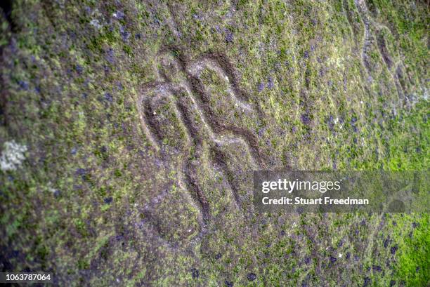 Stone carvings at the archaeological site of Hikokua near the village of Hatiheu, Nuku Hiva, Marquesas Islands, French Polynesia. Discovered by the...