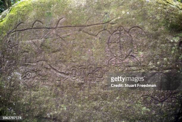 Stone carvings at the archaeological site of Hikokua near the village of Hatiheu, Nuku Hiva, Marquesas Islands, French Polynesia. Discovered by the...