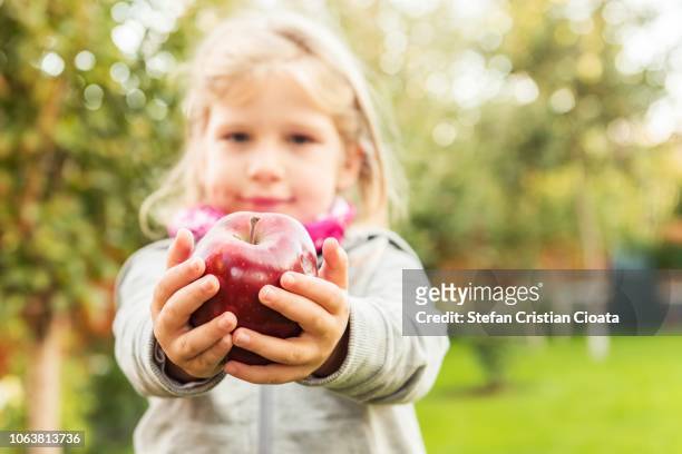 red apple in girl's hands - kids play apple photos et images de collection