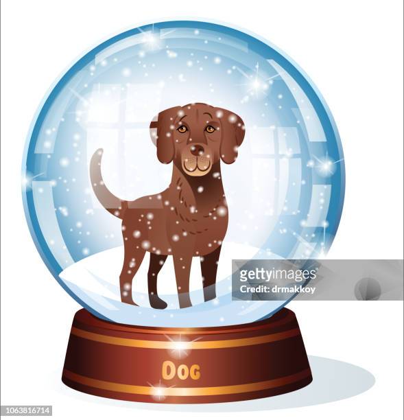 ilustraciones, imágenes clip art, dibujos animados e iconos de stock de globo de la nieve y el perro, perro perdiguero de bahía de chesapeake, maryland estado - chesapeake bay