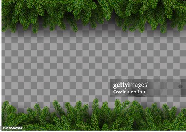 stockillustraties, clipart, cartoons en iconen met kerst frame met fir tree - naald plantdeel