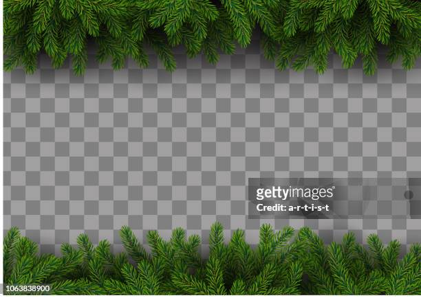 christmas frame with fir tree - twig stock illustrations