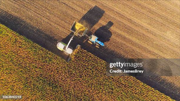 máquinas agrícolas, colheita de milho, vista aérea. - ambientação - fotografias e filmes do acervo