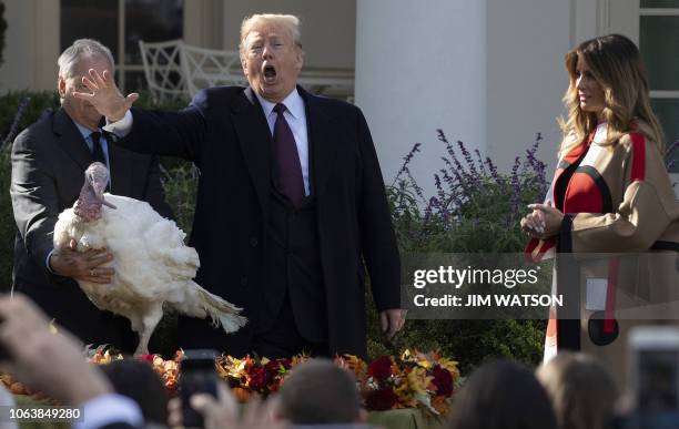 President Donald Trump pardons the turkey "Peas" during the annual ceremony at the White House in Washington, DC, on November 20, 2018 as US First...