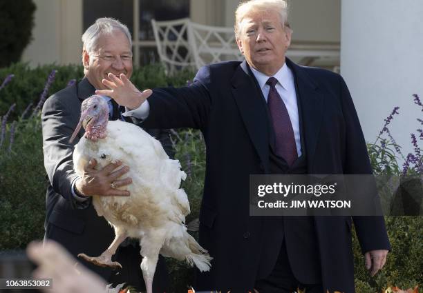 President Donald Trump pardons the turkey "Peas" during the annual ceremony at the White House in Washington, DC, on November 20, 2018.