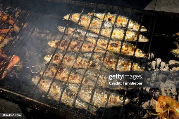 grilled sardines on the grill. - porto portugal food stock pictures, royalty-free photos & images