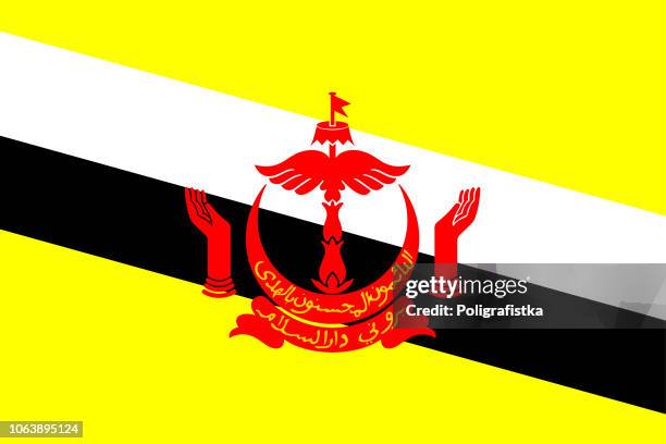 flag of brunei - brunei stock illustrations