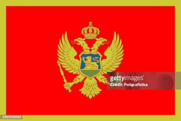 ilustraciones, imágenes clip art, dibujos animados e iconos de stock de bandera de montenegro - montenegro