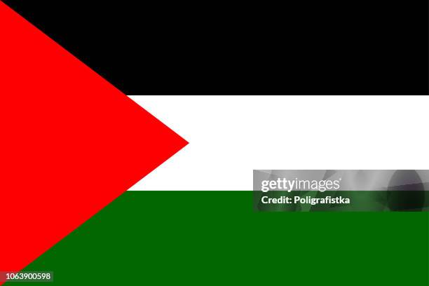 flag of palestine - palestine stock illustrations