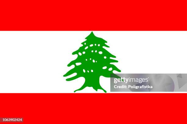 flag of lebanon - lebanon country stock illustrations