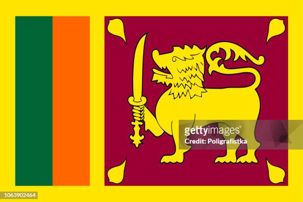 flagge von sri lanka - sri lanka flag stock-grafiken, -clipart, -cartoons und -symbole