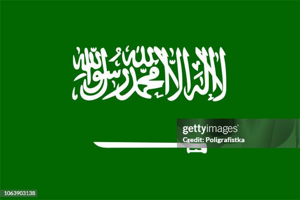 stockillustraties, clipart, cartoons en iconen met vlag van saoedi-arabië - saudi arabian flag