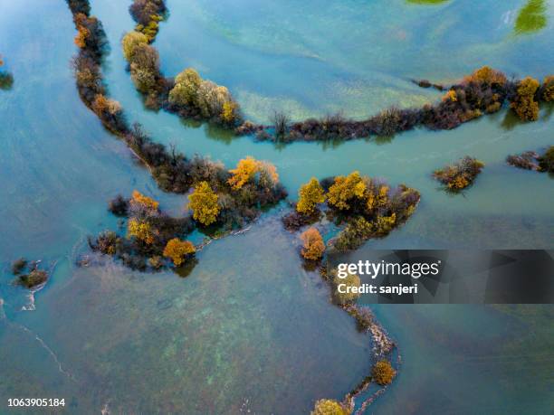 aerial view of autumn field - flood stock pictures, royalty-free photos & images