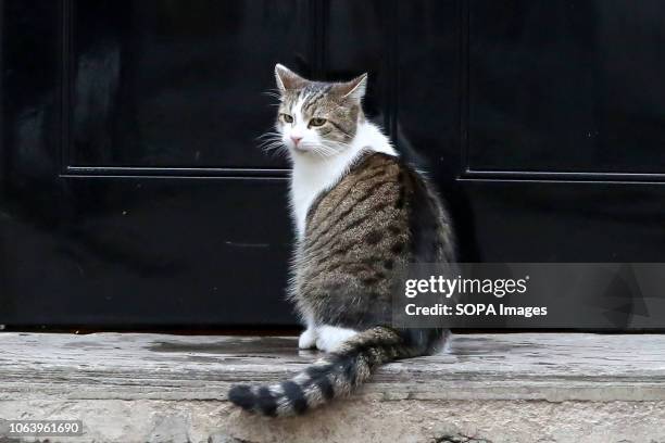 Larry, the cat and Chief Mouser to the Cabinet Office is seen seated on the steps at No 10 Downing Street just before the Cabinet Ministers start...