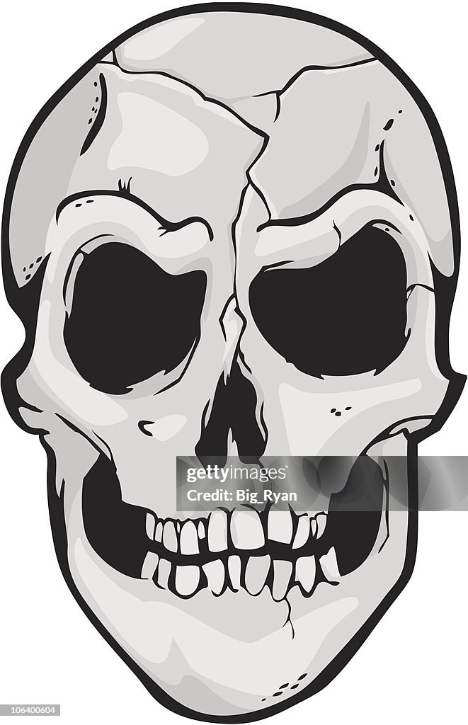 Simple Skull Layout Simple Skull High-Res Vector Graphic - Getty Images