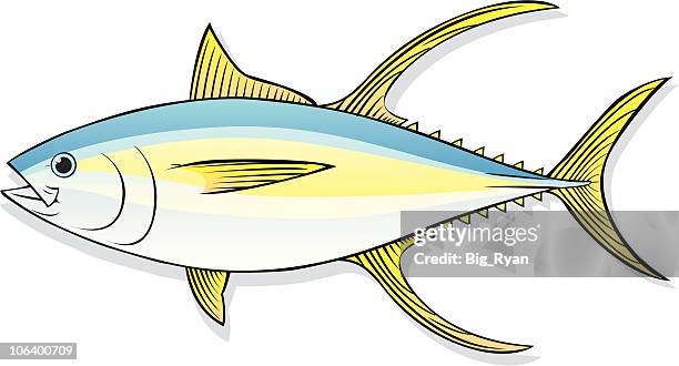 tuna - cooked yellowtail stock illustrations