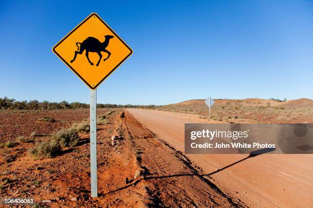 camel warning sign outback australia - animal crossing foto e immagini stock