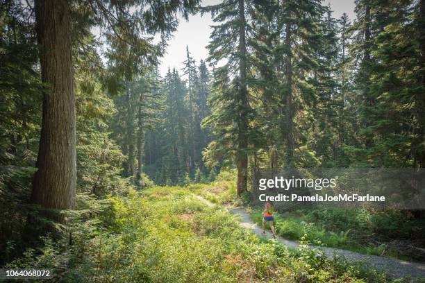 summer trail running, mount seymour, north vancouver, british columbia, canada - vancouver canada stock pictures, royalty-free photos & images