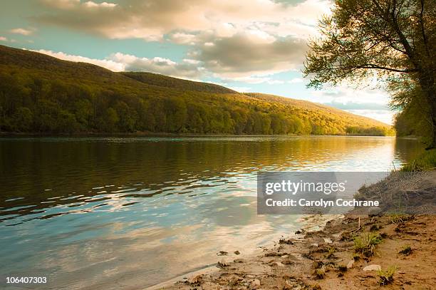 river landscape with trees, clouds and sky - poconos pennsylvania stock pictures, royalty-free photos & images