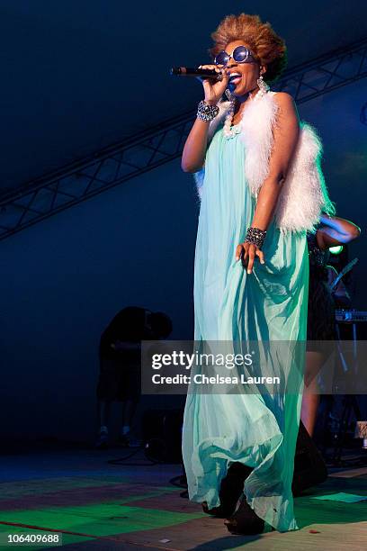 Singer Macy Gray performs at the 2010 Voodoo Experience on October 31, 2010 in New Orleans, Louisiana.