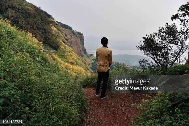 teenager boy sitting and looking at mountain view - indian boy standing stock pictures, royalty-free photos & images
