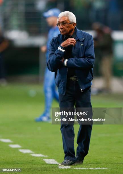 Givanildo Oliveira head coach of America MG looks on during the match against Palmeiras for the Brasileirao Series A 2018 at Allianz Parque Stadium...