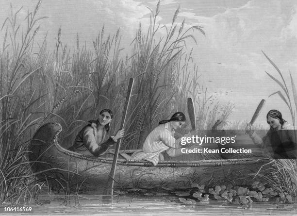 91 Wild Rice River Stock Photos, High-Res Pictures, and Images - Getty