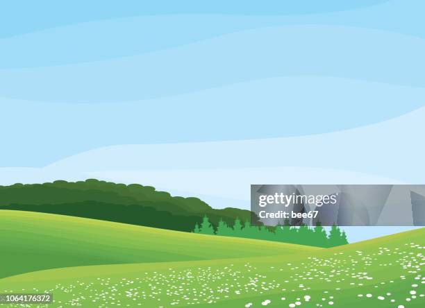 summer forest and sky background - illustration - lush stock illustrations