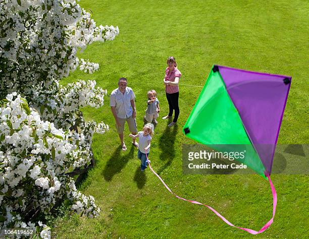 family flying kite - people flying kites stockfoto's en -beelden