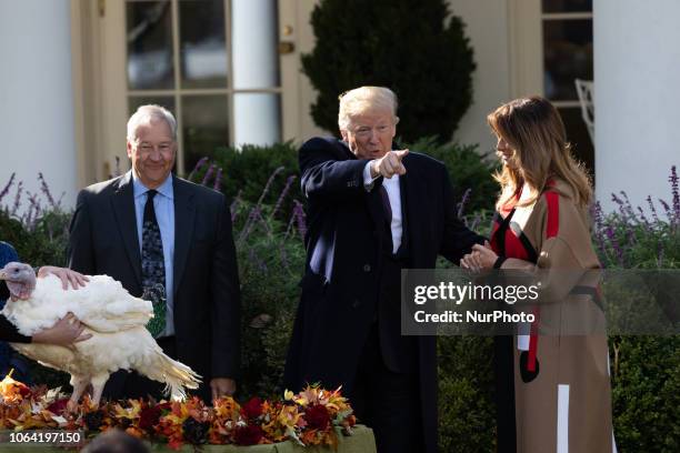 President Donald Trump , with First Lady Melania Trump by his side, pardons the National Thanksgiving Turkey, Peas, in the Rose Garden at the White...