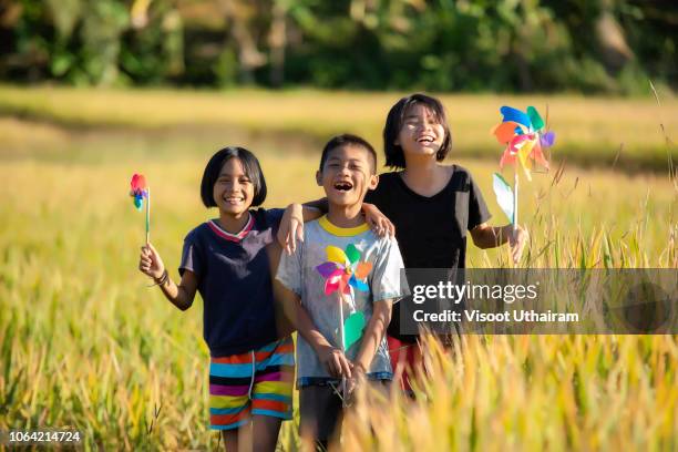 portrait of happy joyful child in green and yellow farmland background. - malaysia beautiful girl 個照片及圖片檔
