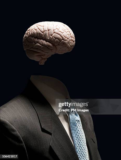 business brain - animal brain stock pictures, royalty-free photos & images