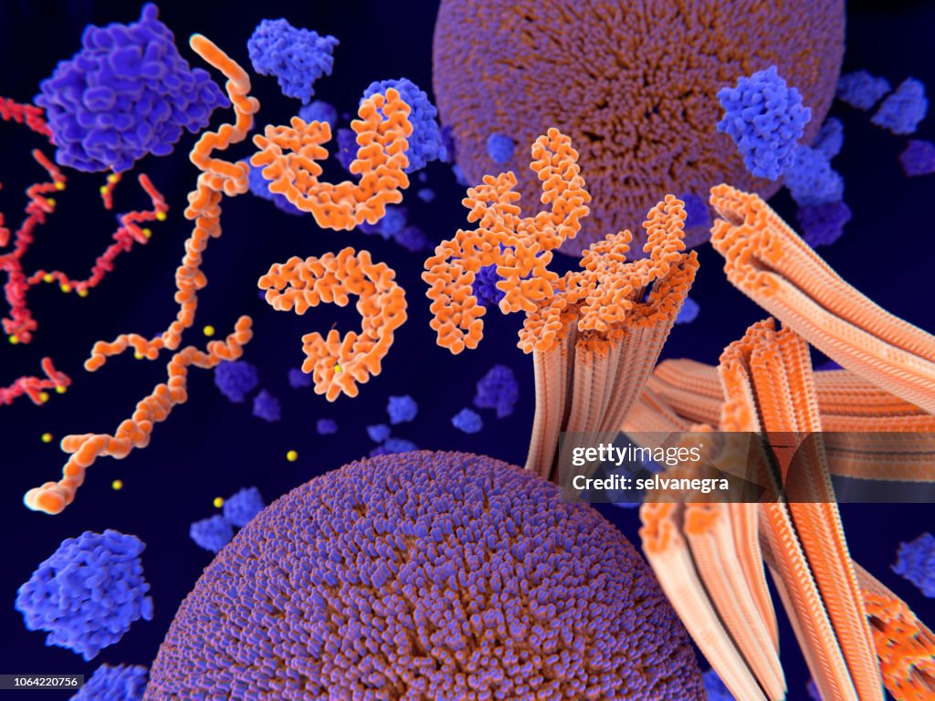Doença de Alzheimer: as proteínas Tau agregadas para neurofibrilares