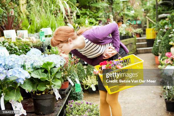 young woman smells flower in garden centre. - centro de jardinería fotografías e imágenes de stock