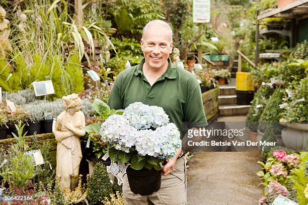 portrait of florist a holding hydrangea plant. - female statue stock pictures, royalty-free photos & images